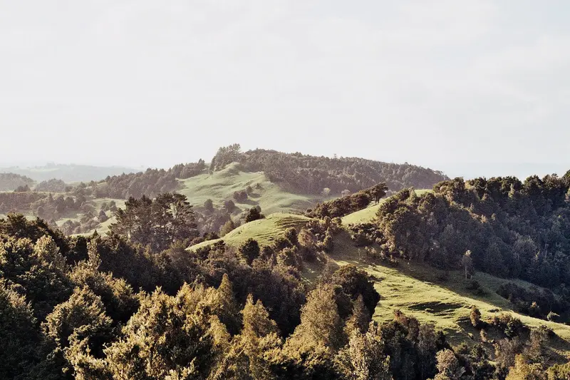 landscapes 06