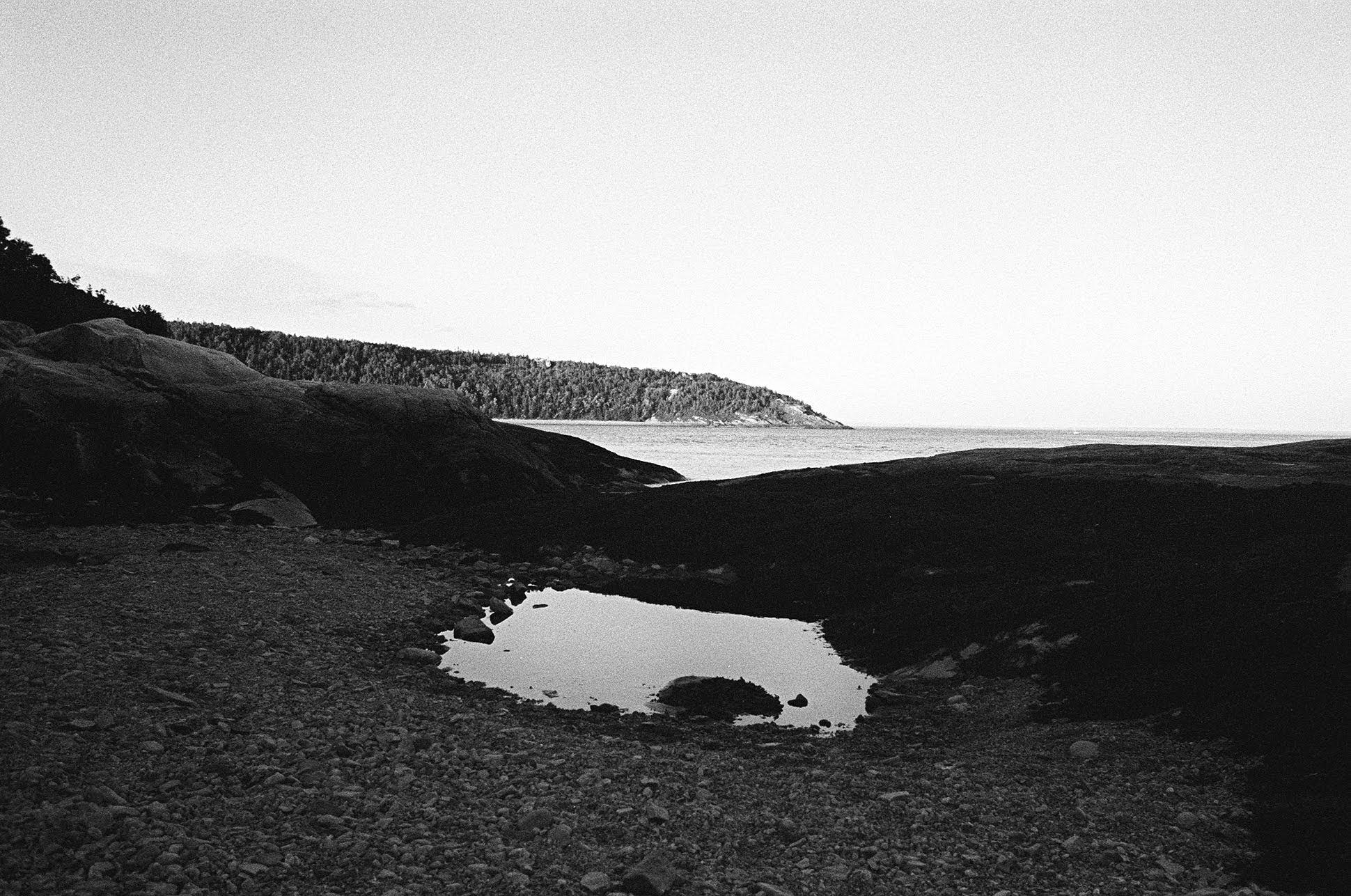 landscape of coastal new zealand in black and white