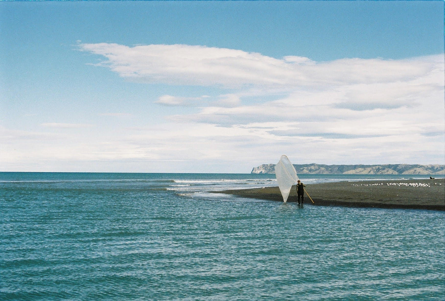 Fishing whitebait on the beach in New-Zealand