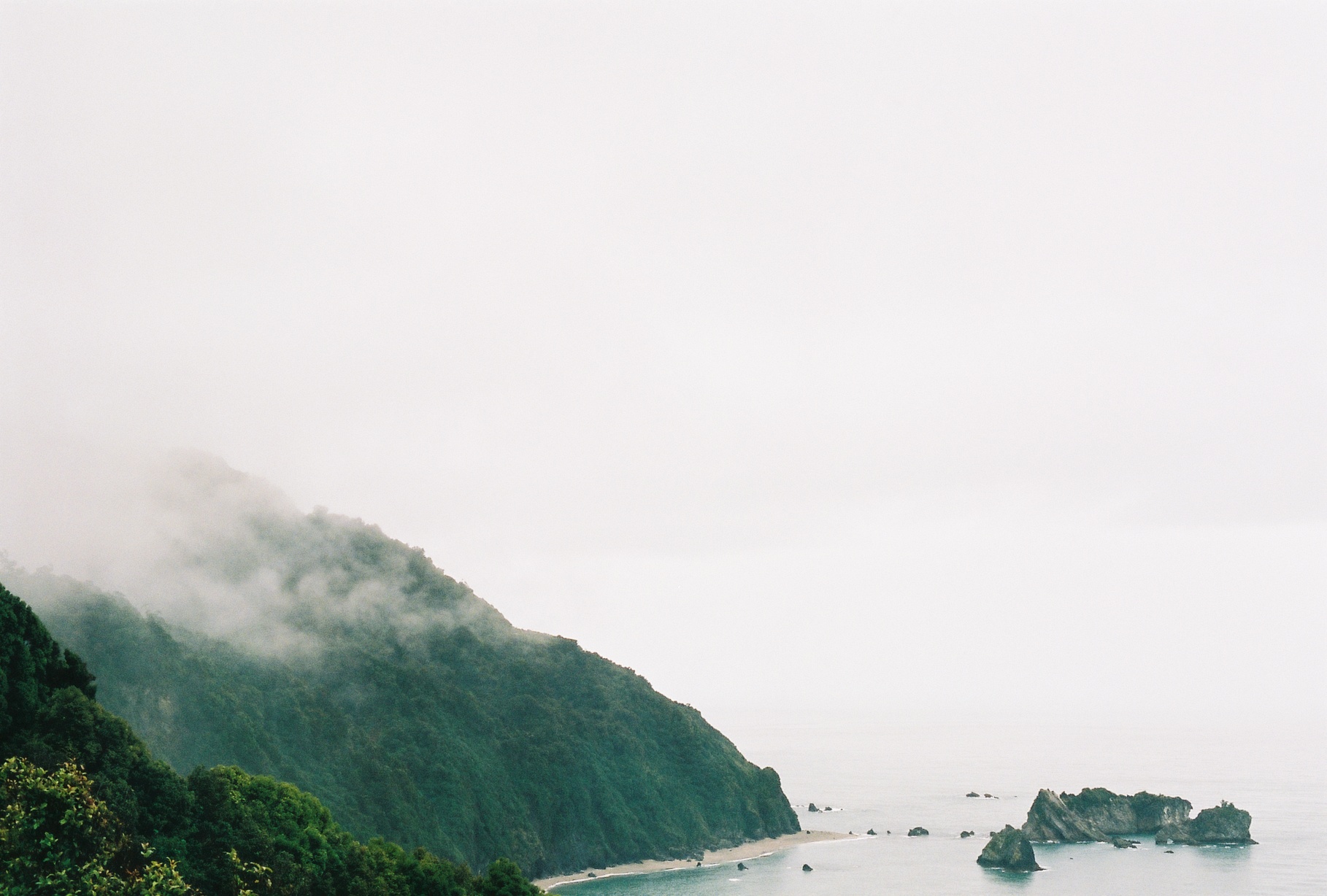 Beautiful cliff in Malborough New-Zealand